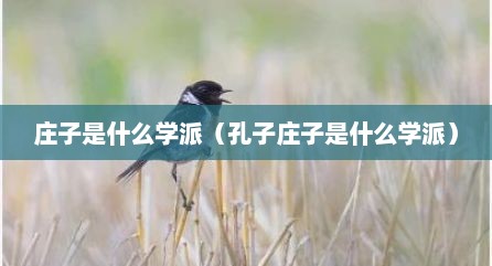 庄子是什么学派（孔子庄子是什么学派）