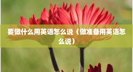 要做什么用英语怎么说（做准备用英语怎么说）