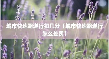 城市快速路逆行扣几分（城市快速路逆行怎么处罚）