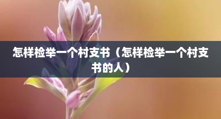 怎样检举一个村支书（怎样检举一个村支书的人）