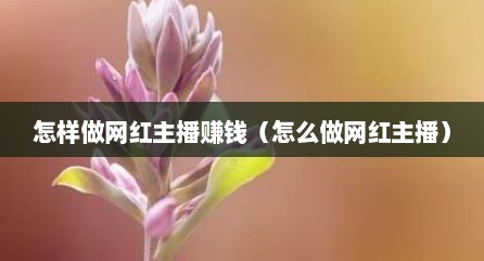 怎样做网红主播赚钱（怎么做网红主播）