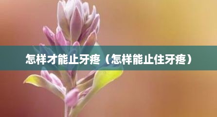 怎样才能止牙疼（怎样能止住牙疼）