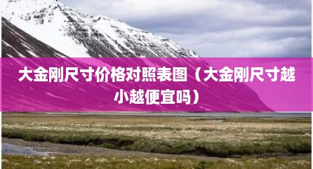 大金刚尺寸价格对照表图（大金刚尺寸越小越便宜吗）