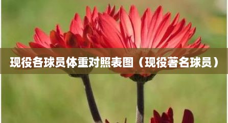 现役各球员体重对照表图（现役著名球员）