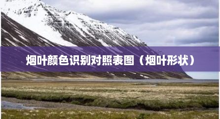 烟叶颜色识别对照表图（烟叶形状）