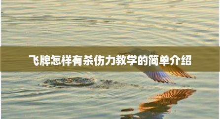 飞牌怎样有杀伤力教学的简单介绍