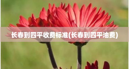 长春到四平收费标准(长春到四平油费)