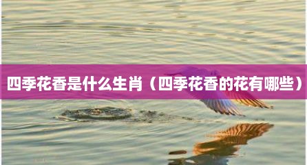 四季花香是什么生肖（四季花香的花有哪些）