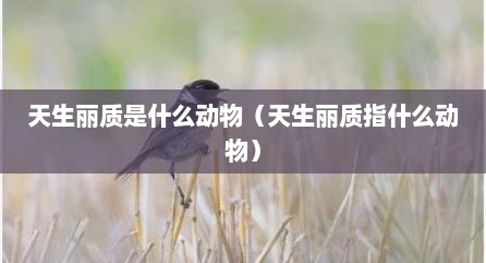 天生丽质是什么动物（天生丽质指什么动物）