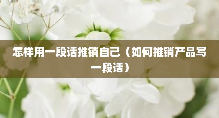 怎样用一段话推销自己（如何推销产品写一段话）