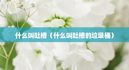 什么叫吐槽（什么叫吐槽的垃圾桶）