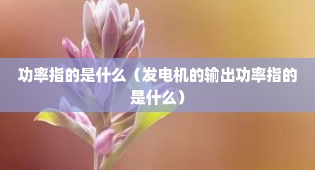 功率指的是什么（发电机的输出功率指的是什么）