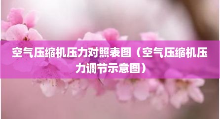 空气压缩机压力对照表图（空气压缩机压力调节示意图）