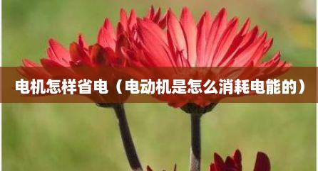 电机怎样省电（电动机是怎么消耗电能的）
