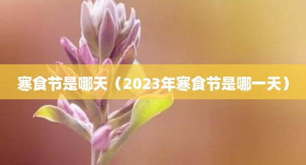 寒食节是哪天（2023年寒食节是哪一天）