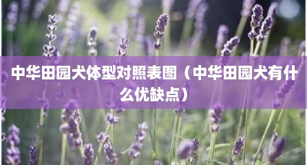 中华田园犬体型对照表图（中华田园犬有什么优缺点）