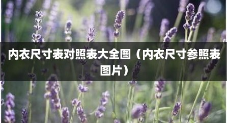 内衣尺寸表对照表大全图（内衣尺寸参照表图片）