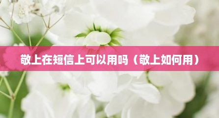 敬上在短信上可以用吗（敬上如何用）