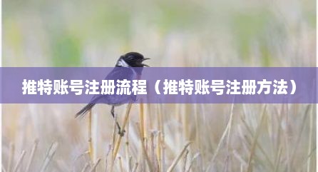 推特账号注册流程（推特账号注册方法）