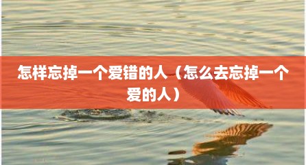 怎样忘掉一个爱错的人（怎么去忘掉一个爱的人）