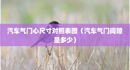 汽车气门心尺寸对照表图（汽车气门间隙是多少）