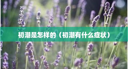 初潮是怎样的（初潮有什么症状）