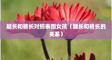 腿长和裤长对照表图女孩（腿长和裤长的关系）