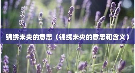 锦绣未央的意思（锦绣未央的意思和含义）