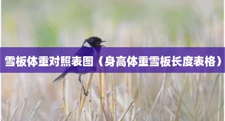 雪板体重对照表图（身高体重雪板长度表格）