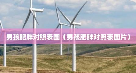 男孩肥胖对照表图（男孩肥胖对照表图片）