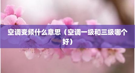 空调变频什么意思（空调一级和三级哪个好）