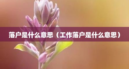 落户是什么意思（工作落户是什么意思）