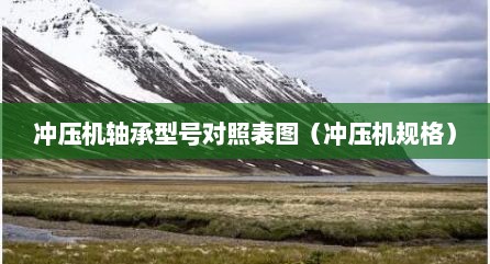 冲压机轴承型号对照表图（冲压机规格）