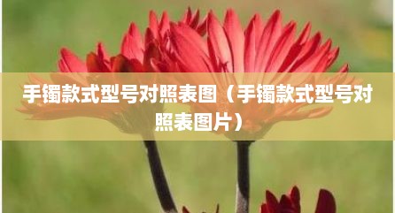 手镯款式型号对照表图（手镯款式型号对照表图片）