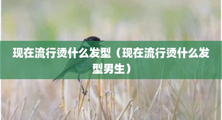 现在流行烫什么发型（现在流行烫什么发型男生）