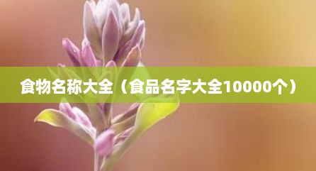 食物名称大全（食品名字大全10000个）