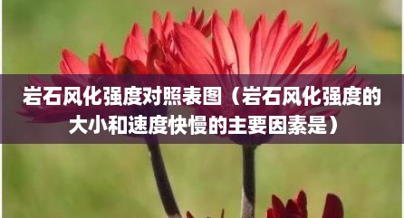 岩石风化强度对照表图（岩石风化强度的大小和速度快慢的主要因素是）