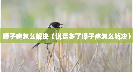嗓子疼怎么解决（说话多了嗓子疼怎么解决）