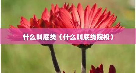 什么叫底线（什么叫底线院校）
