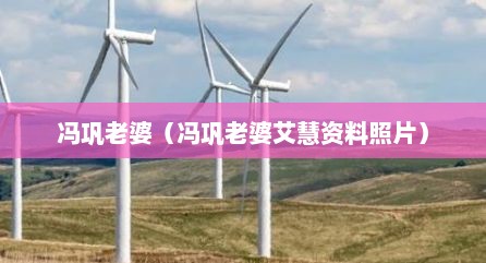 冯巩老婆（冯巩老婆艾慧资料照片）