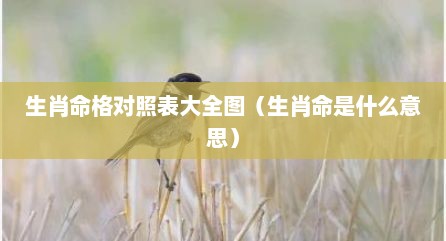 生肖命格对照表大全图（生肖命是什么意思）
