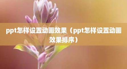 ppt怎样设置动画效果（ppt怎样设置动画效果排序）