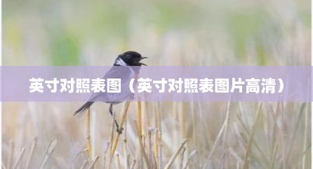 英寸对照表图（英寸对照表图片高清）