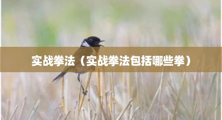 实战拳法（实战拳法包括哪些拳）