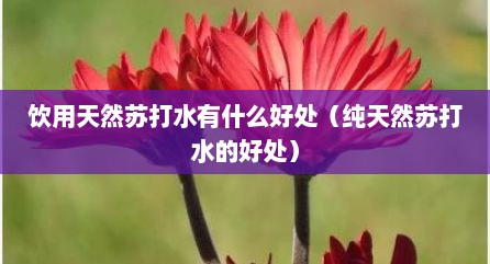 饮用天然苏打水有什么好处（纯天然苏打水的好处）