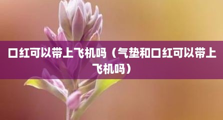 口红可以带上飞机吗（气垫和口红可以带上飞机吗）