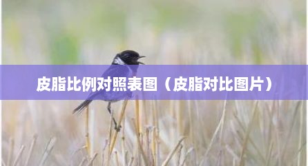 皮脂比例对照表图（皮脂对比图片）