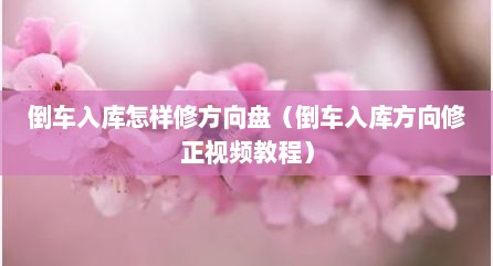 倒车入库怎样修方向盘（倒车入库方向修正视频教程）