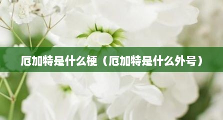 厄加特是什么梗（厄加特是什么外号）
