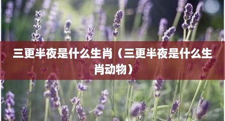 三更半夜是什么生肖（三更半夜是什么生肖动物）